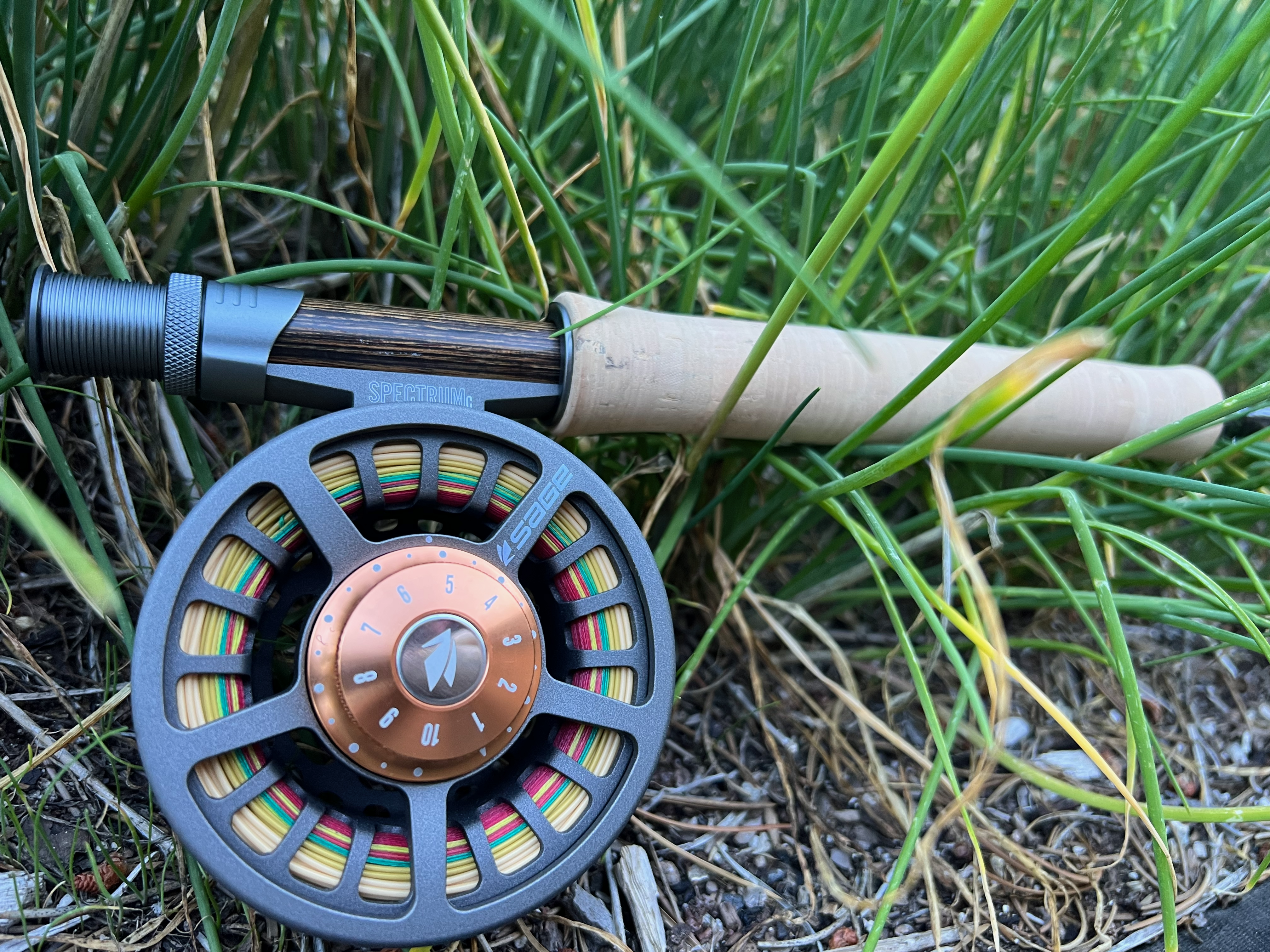 Résumé